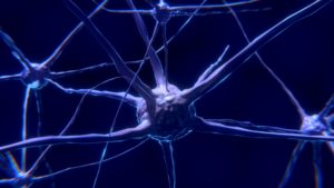 What is a Nerve Conduction Study?